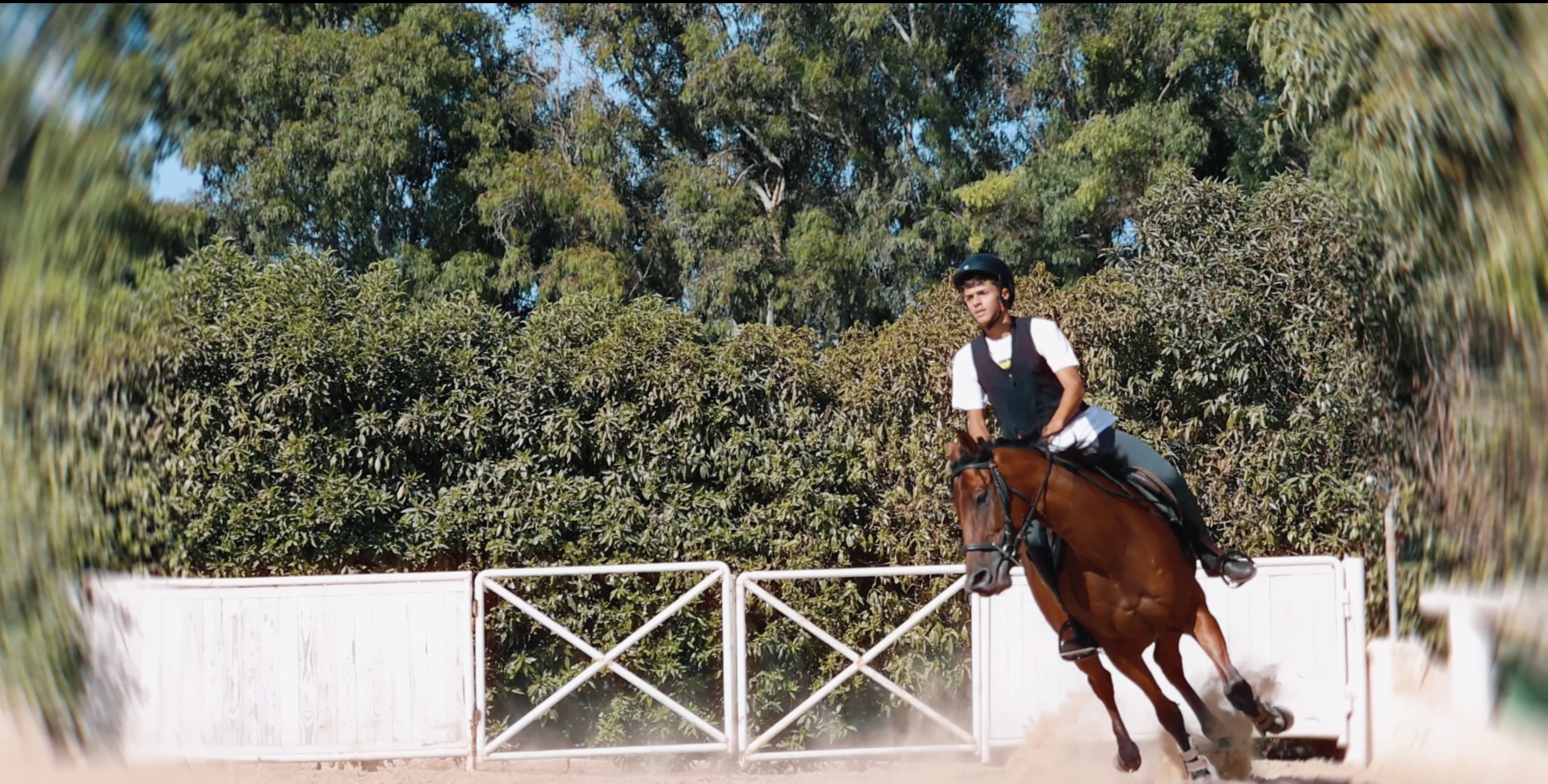 Equestrian show-jumping training
